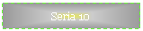 Text Box: Seria 10