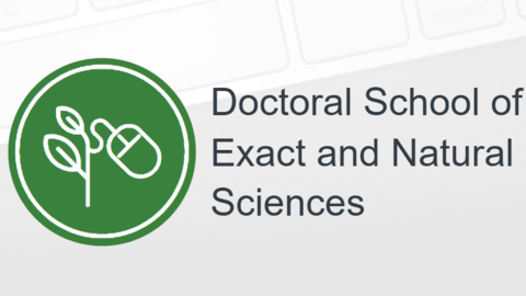 Recruitment to UW Doctoral Schools