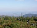 pict2051