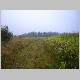 P1110001.JPG