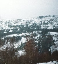Droga na Stóg Izerski