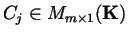 $C_j\in
M_{m\times 1}({\bf K})$