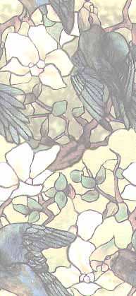 parrots
