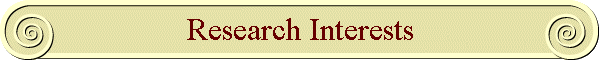 Research Interests