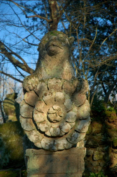 060107-046.jpg - Orso araldico