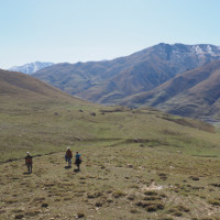 Hike