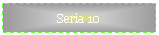 Text Box: Seria 10
