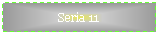 Text Box: Seria 11
