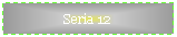 Text Box: Seria 12
