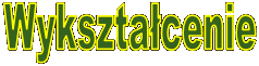Wykształcenie